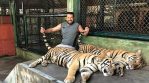 AKP’li müteahhit malzemeden çalmış!