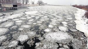 Kuzey Amerika’da kutup soğuğu