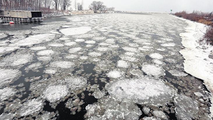 Kuzey Amerika’da kutup soğuğu