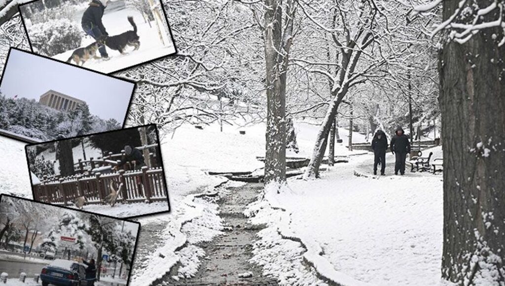 Türkiye kara teslim oldu