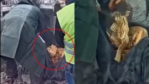 Enkazdan çıkan dev servetin sahibi ortaya çıktı