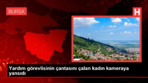 Yardım görevlisinin çantasını çalan kadın kameraya yansıdı