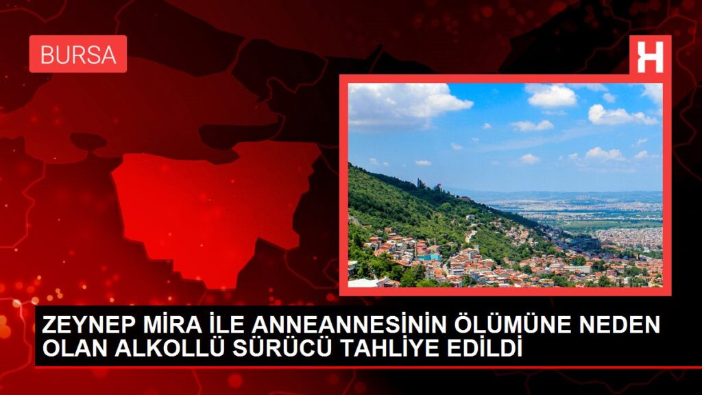 ZEYNEP MİRA İLE ANNEANNESİNİN ÖLÜMÜNE NEDEN OLAN ALKOLLÜ SÜRÜCÜ TAHLİYE EDİLDİ