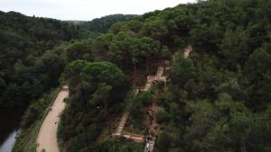 AKP’li vekiller teklif verdi; şehir içinde ya da kenarında bulunan ormanlar imara açılıyor