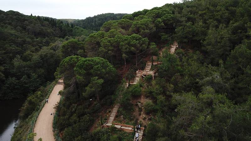 AKP’li vekiller teklif verdi; şehir içinde ya da kenarında bulunan ormanlar imara açılıyor