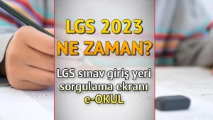 En Başarılı Öğrenciler LGS İle Yerleşmiyor