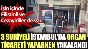 3 Suriyeli İstanbul’da organ ticareti yaparken yakalandı