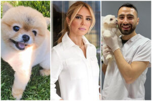 Işıl Reçber traşa bıraktığı köpeğinin ölümünü mahkemeye taşımıştı…