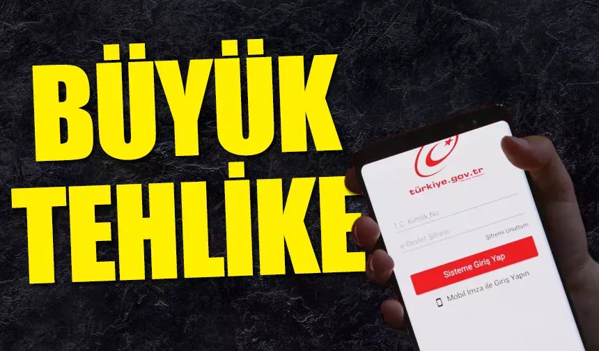 Devletin kayıtlarındaki kişisel bilgiler internete düştü