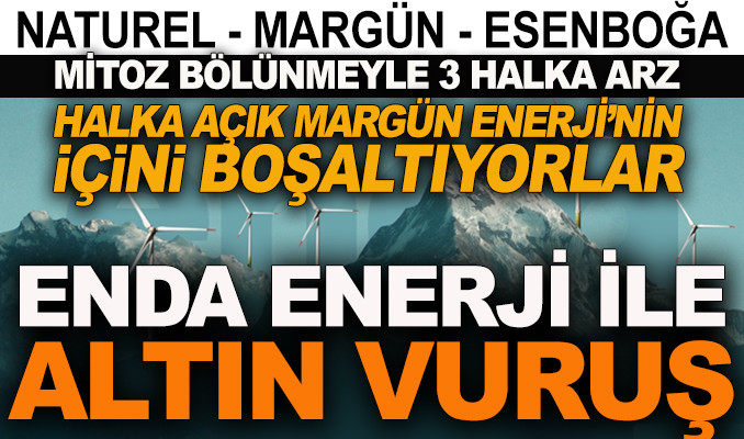 Halka açık Margün Enerji’nin içini boşaltıyorlar