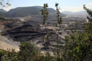 Akbelen’de ormanları katleden şirket dolara endeksli teşvik alıyormuş