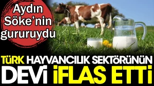Türk hayvancılık sektörünün devi Coşgun Süt Ürünleri iflas etti