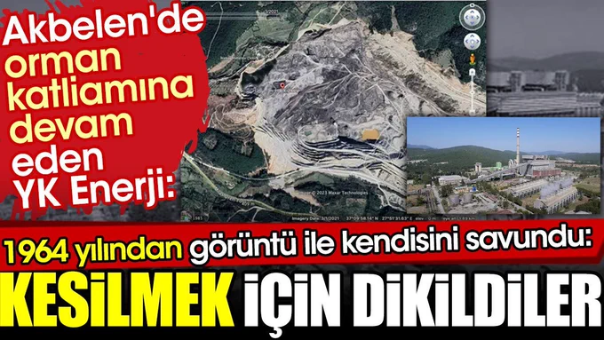 Akbelen’de orman katliamına devam eden YK Enerji kendisini böyle savundu: Kesilmek için dikildiler