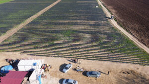 Toki, depremin vurduğu Adana’da dere yatağında yer alan araziyi konut alanı olarak satışa çıkardı