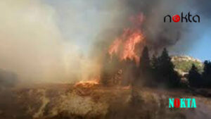 İzmir Aliağa orman yangını