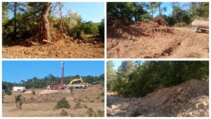 Cengiz Holding talana başladı: Akbelen’in ardından Kazdağları’nda da ağaç katliamı