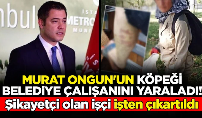 Murat Ongun’un köpeği belediye çalışanını yaraladı! Isırılan işçi şikayetçi olunca işten çıkarıldı