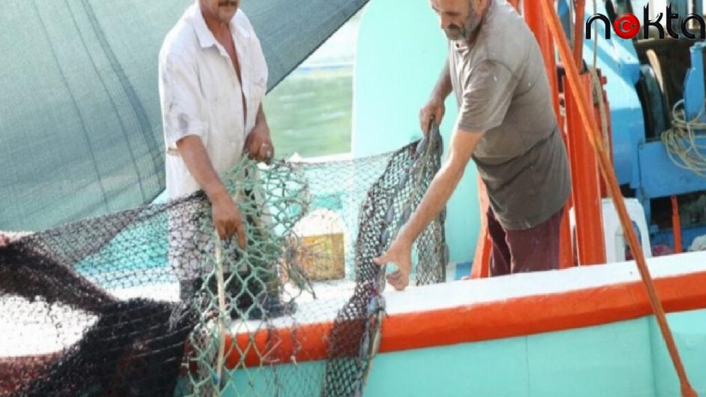 Kıymetli mazot ucuz balığı vurdu