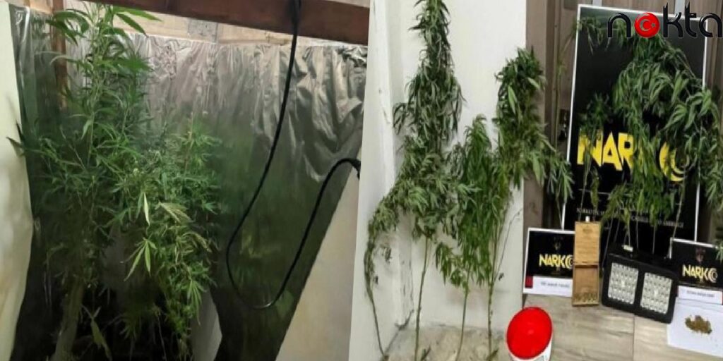 Meskenlerinde Uyuşturucu Yetiştiren Karı- Kocaya Operasyon!