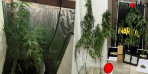 Meskenlerinde Uyuşturucu Yetiştiren Karı- Kocaya Operasyon!