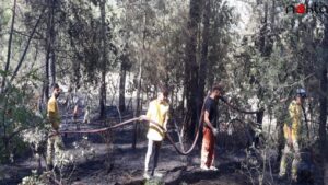 Orhaneli’de çıkan orman yangını söndürüldü