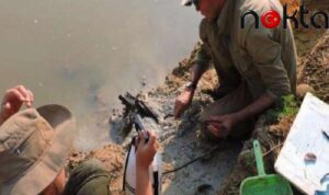 500 bin yıllık ahşap yapı bulundu: ‘Atalarımız hakkındaki düşünceleri değiştirebilir’