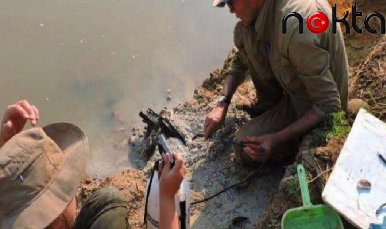 500 bin yıllık ahşap yapı bulundu: ‘Atalarımız hakkındaki düşünceleri değiştirebilir’