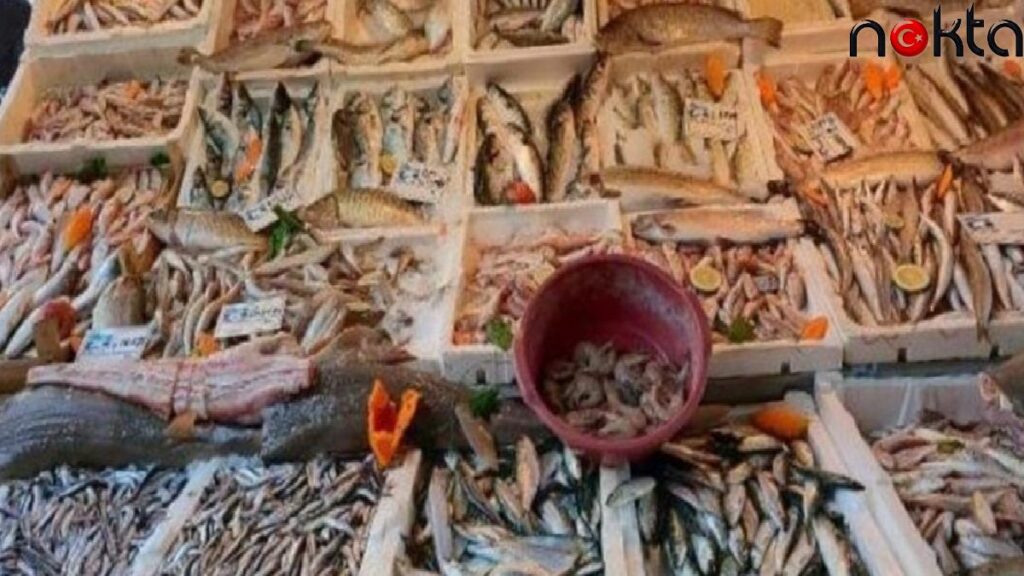 Akdeniz’de av yasağı kalktı, balık fiyatları yüzde 80 düştü