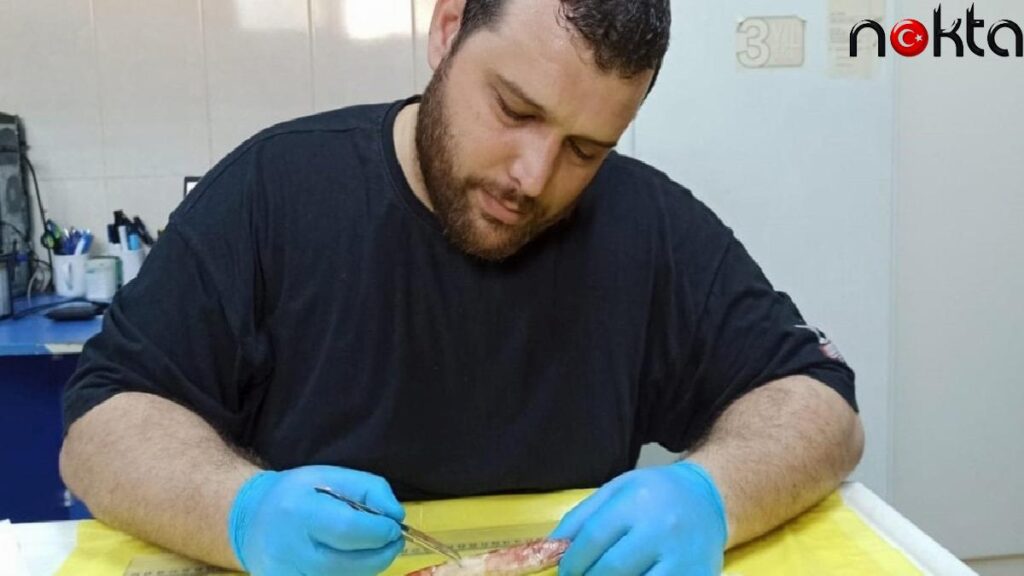 Akdeniz’de birinci kere ‘Kızıl lokum’ görüldü