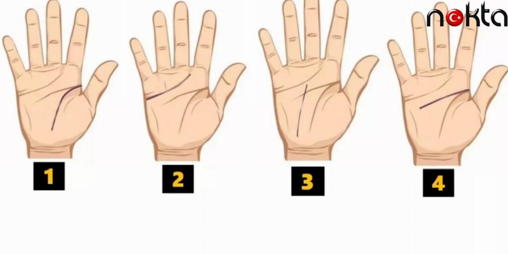 Avuç İçiniz Kişiliğinizi Gösteriyor! Hemen Ellerinize Bakın: Siz Hangisisiniz?