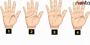 Avuç İçiniz Kişiliğinizi Gösteriyor! Hemen Ellerinize Bakın: Siz Hangisisiniz?