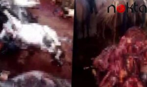 Bakanlıktan ‘eşek eti’ açıklaması