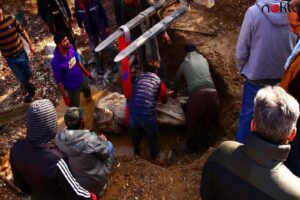 Böylesi daha önce hiç görülmemişti… Hemen koruma altına alındı…