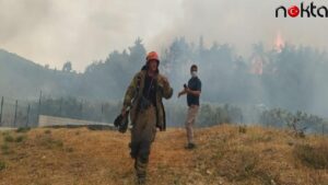 Bursa’da çıkan orman yangınına müdahale ediliyor