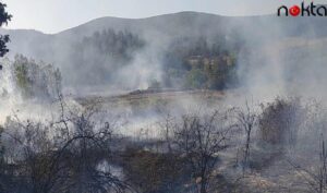 Bursa’da tarım arazisinde çıkan yangın büyümeden söndürüldü