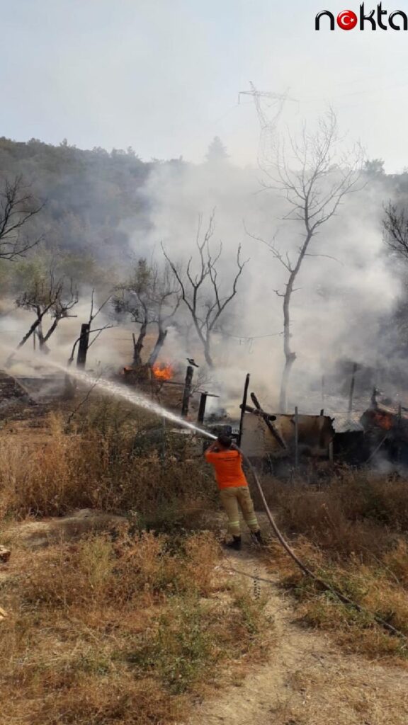 Bursa’da tarım arazisinde çıkan yangın söndürüldü