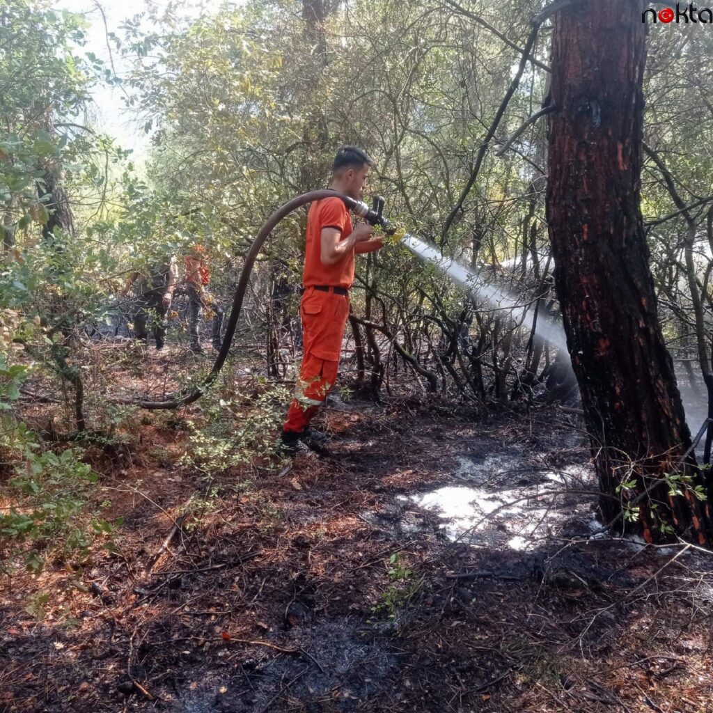 Bursa’da yıldırım düşmesi sonucu çıkan orman yangını söndürüldü