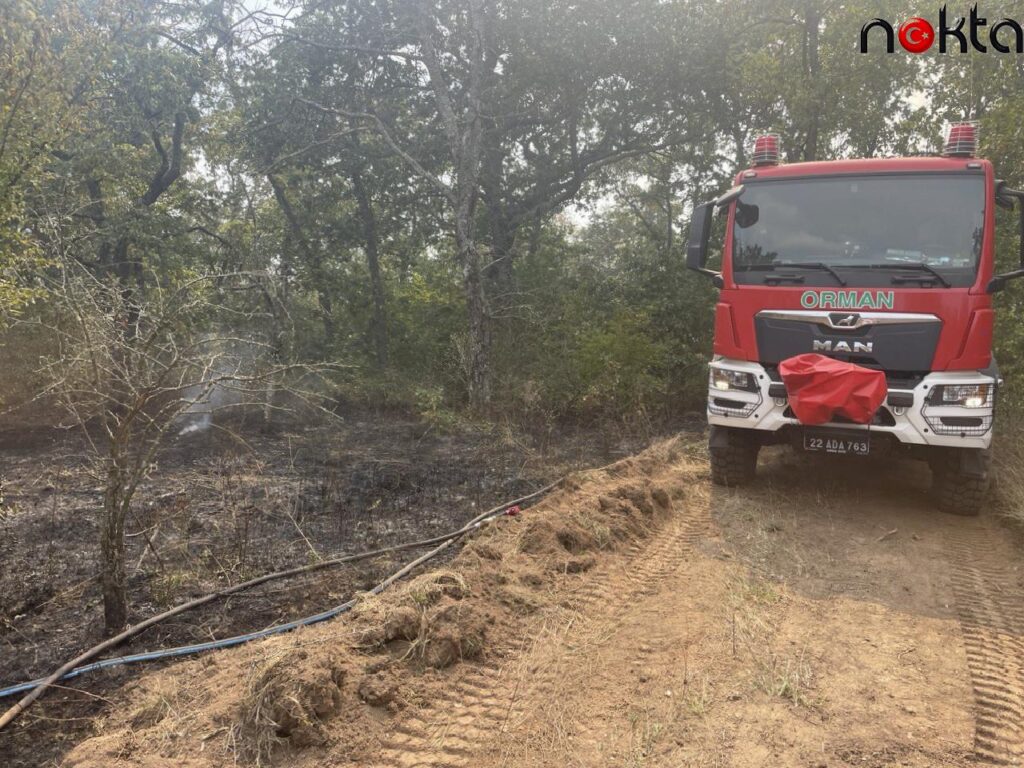Edirne’de sınır hattında ormanlık alanda yangın çıktı