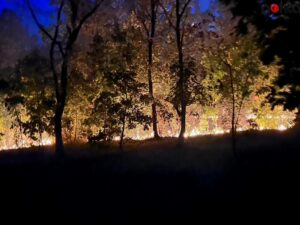 Edirne’de sınır hattındaki ormanlık alanda çıkan yangın söndürüldü