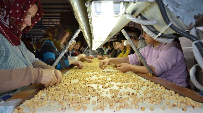 İhracat rekortmeni Türk firma neden İtalyanlara satıldı?