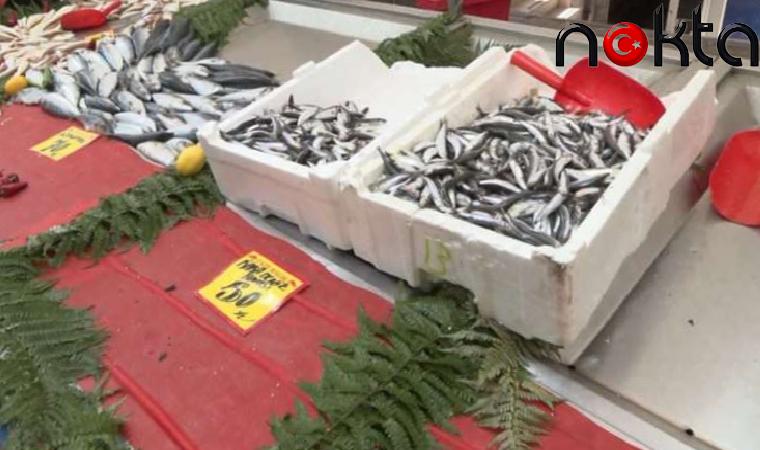 Hamsi ihracatının karnesi belli oldu