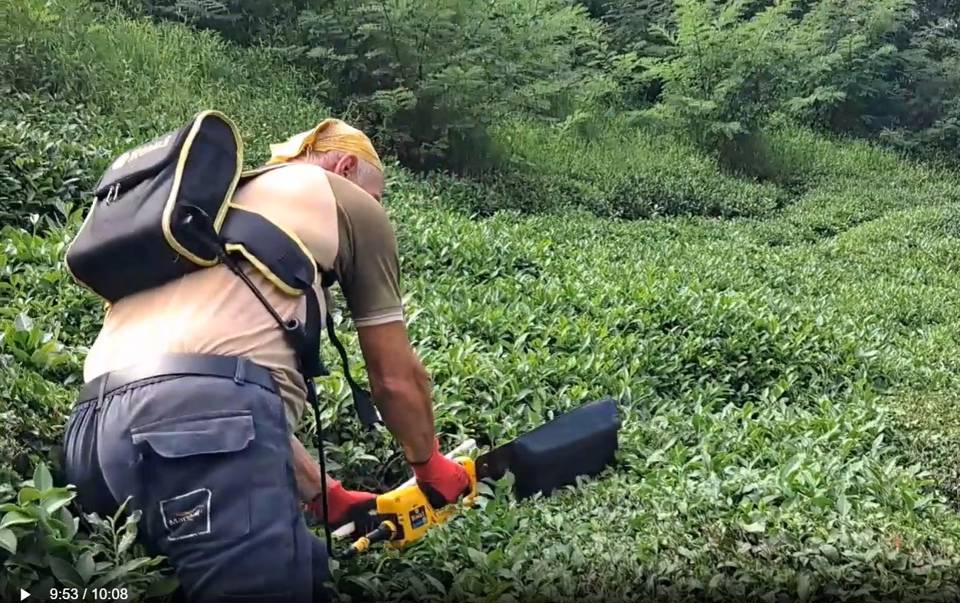 Hopa Ziraat Odası Başkanı: Çaykur’un planlama hatası nedeniyle çay tarlada kartlaştı