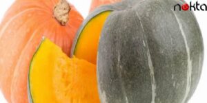 İyi bir bal kabağı nasıl seçilir ? Ve bunu yaparsanız  bal kabakları yaza kadar çürümez, dayanır …