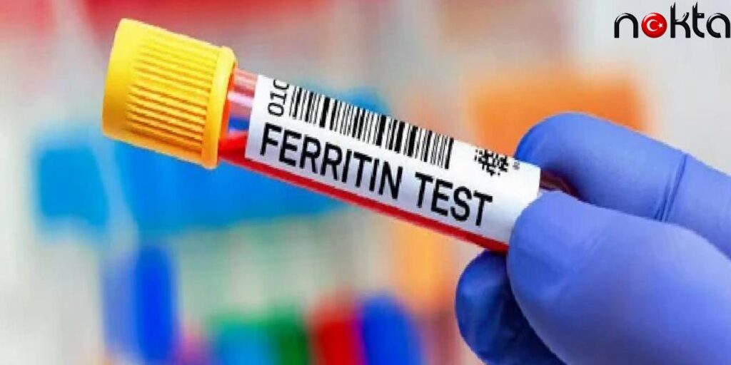 Kansızlık çekenler bu meyveyi yemeli…