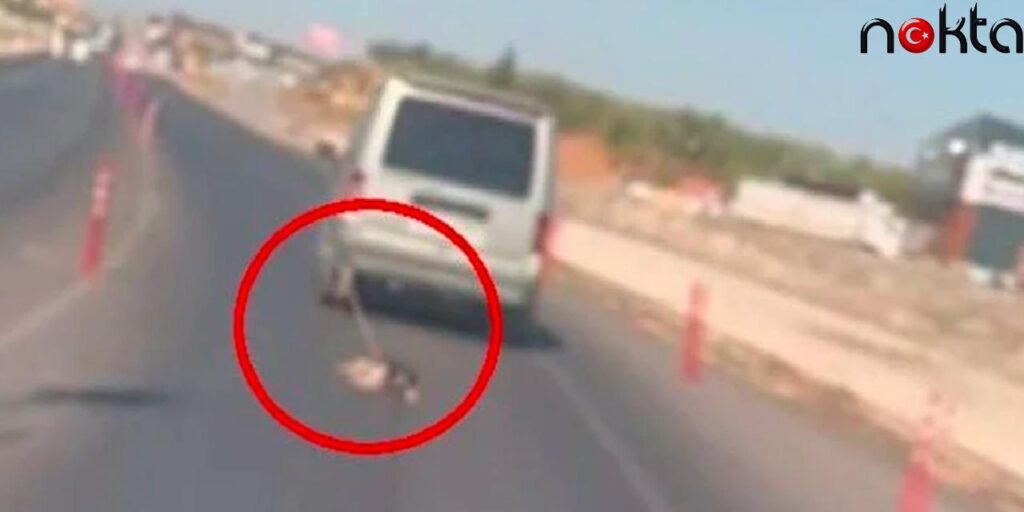 Köpeği Araca Bağlayarak Sürükleyen Cani Yakalandı!