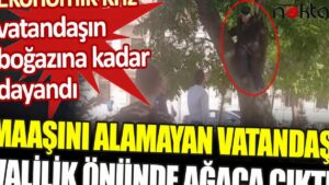 Maaşını alamayan vatandaş valilik önünde ağaca çıktı
