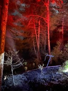 Orhaneli’de yıldırım düşmesi sonucu çıkan orman yangını söndürüldü