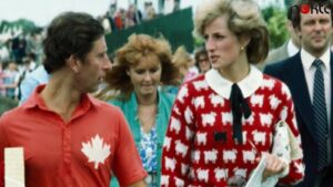 Prenses Diana’nın ikonik koyunlu kazağına açık artırmada milyon dolar ödendi!