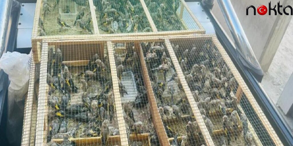 Saka Kuşuyla Yakalanan 2 Kişiye 2 Milyon TL Ceza