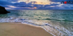 Sualtı Yaşamı Tehlikede! Yıllık 6 Milyar Ton Kum Çekiliyor